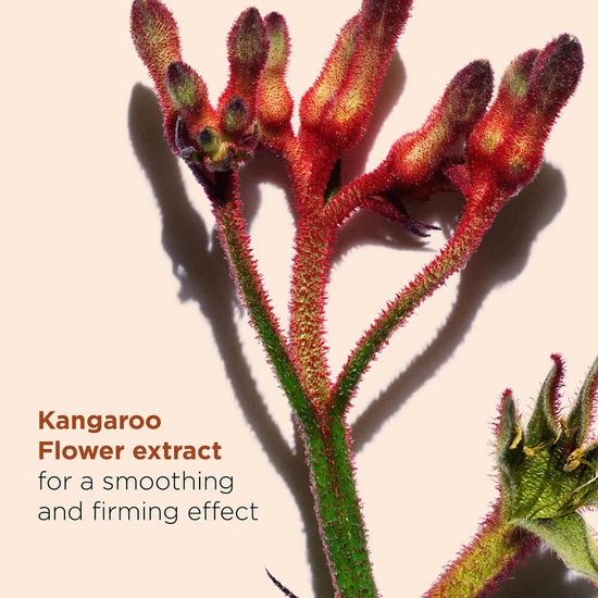 Clarins Total Eye Smooth 15ml