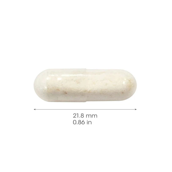 Bio-Kult Pregnea Capsules 60 Capsules