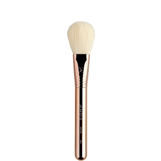 Sigma Beauty Bloom + Glow Brush Set
