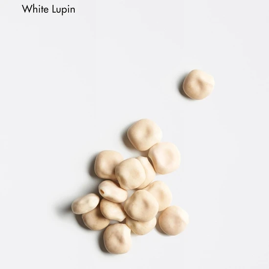 La Biosthetique Vitalising Scalp Concentrate 10x10 Ampoules