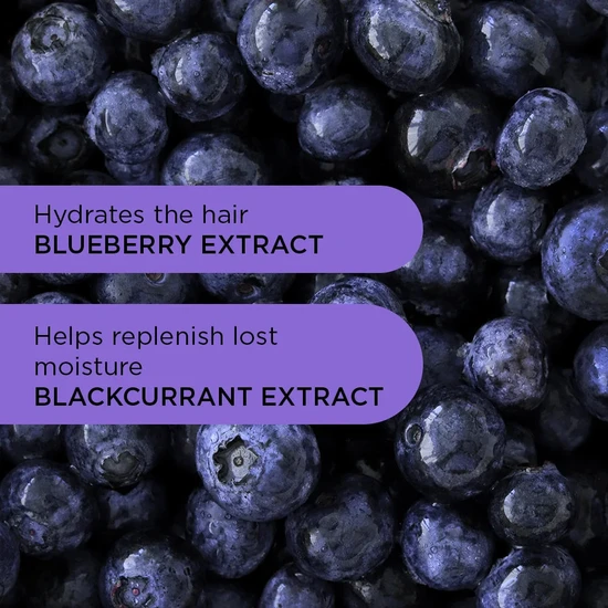 Noughty Purple Reign Shampoo 250ml