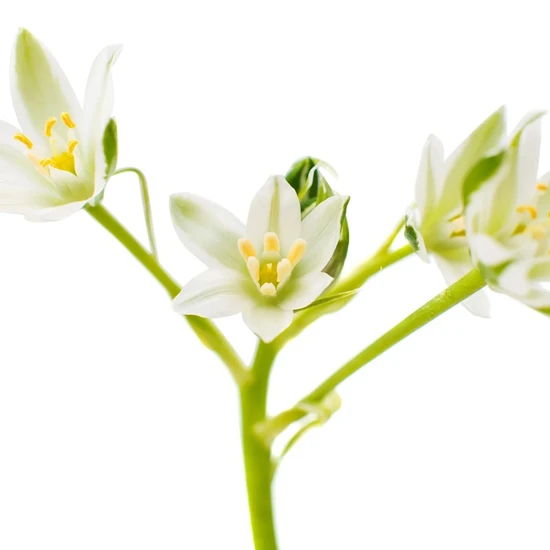 L'Anza Keratin Healing Oil Finishing Spray 350ml