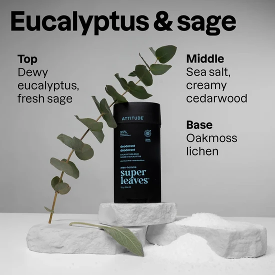 Attitude Super Leaves Men Eucalyptus & Sage Deodorant Stick 75g