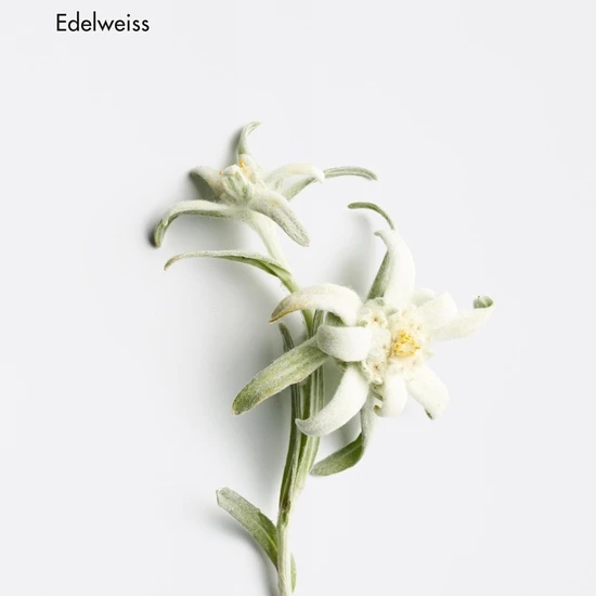 La Biosthetique Revitalising Balance Cream 50ml