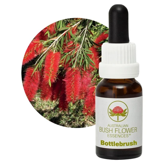 Australian Bush Flower Essences Bottlebrush 15ml