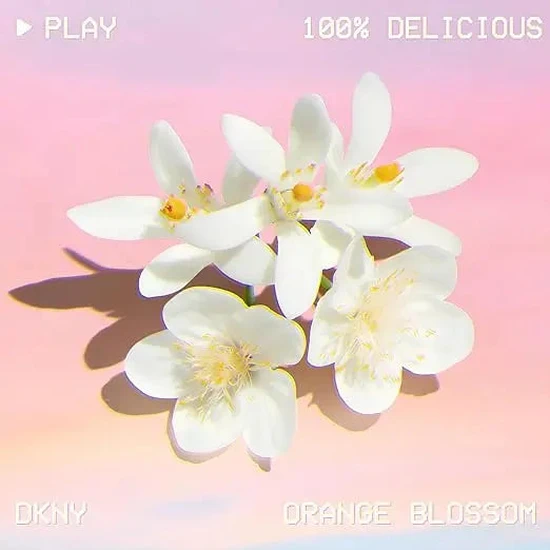 DKNY Be 100% Delicious Eau De Parfum 50ml