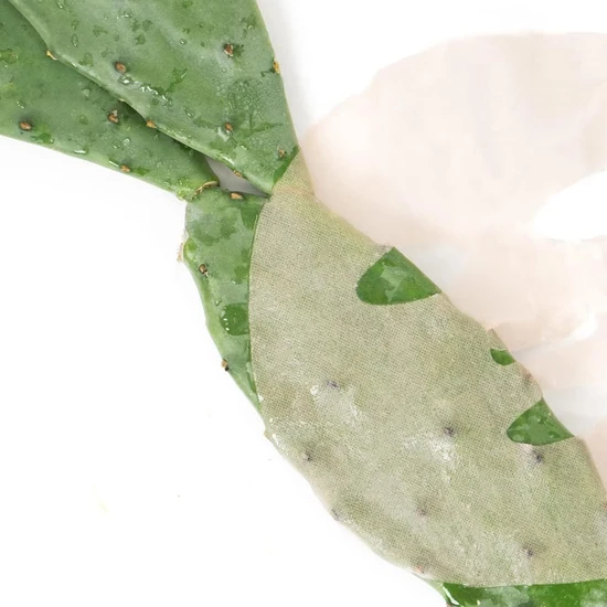 STARSKIN Orglamic Pink Cactus Oil Mask