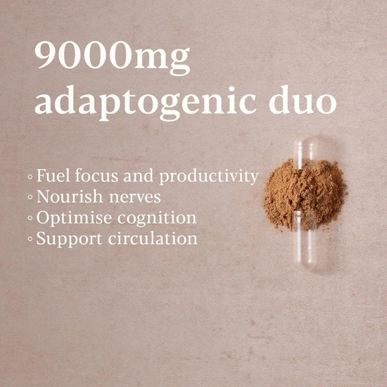 Higher Nature Lion's Mane & Ginkgo Capsules 30 Capsules