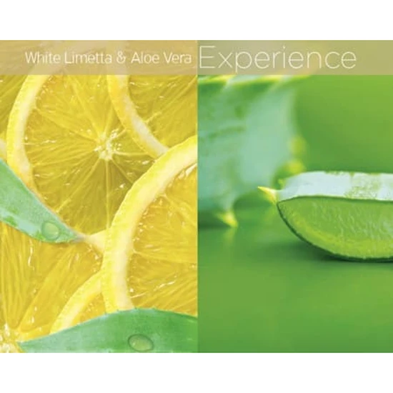 Cuccio Butter Blend 240gm White Limetta & Aloe Vera