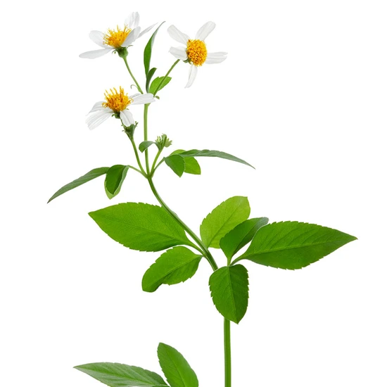 bareMinerals Phyto-AHA Radiance Peeling Mask 50ml