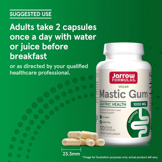 Jarrow Formulas Mastic Gum Tabs 120 Tabs