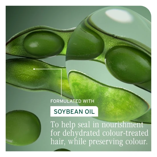 Biolage Colour Last Shampoo For Coloured Hair 400ml