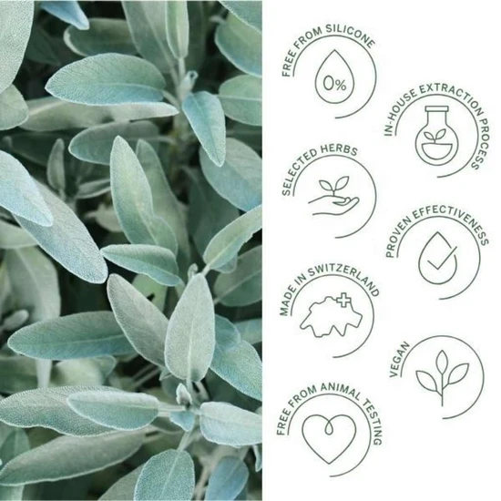 Rausch Silver-Shine Conditioner With Sage 150ml