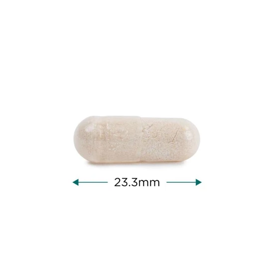Cytoplan Magnesium Complex Capsules 90 Capsules