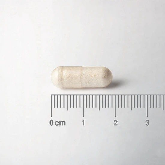 Lamberts Biome Balance Travel Capsules 30 Capsules