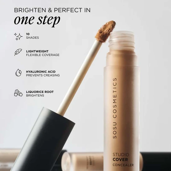 SOSU by SJ Studio Cover Concealer 00C