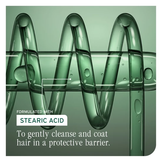 Biolage Colour Last Conditioner 400ml