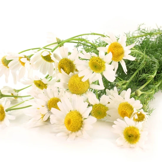 L'Anza Healing Style Dramatic Effects 350ml