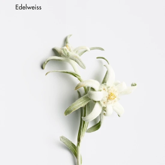 La Biosthetique Hairloss Control Scalp Lotion 100ml