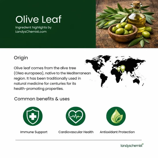 NOW Foods Olive Leaf Extract 500mg 120 Capsules