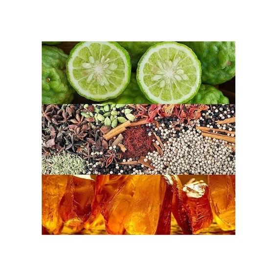 Calvin Klein Obsession Eau De Parfum 100ml