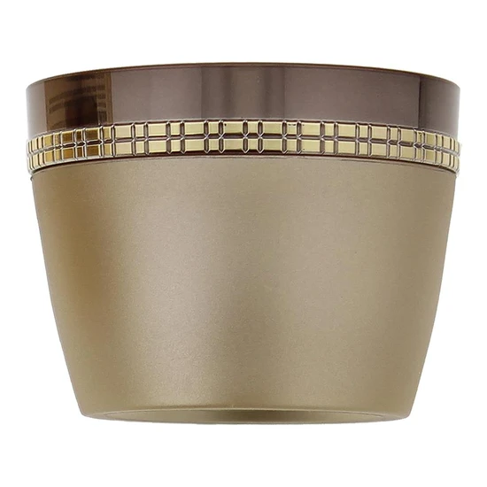 Elizabeth Arden Ceramide Premiere Overnight Regeneration Cream
