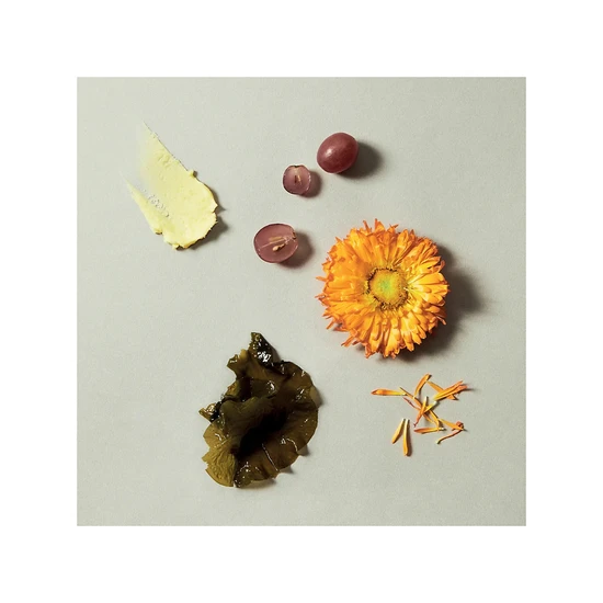 Holidermie Antioxidant Hand Cream
