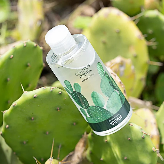 Yadah Cactus Toner 210ml