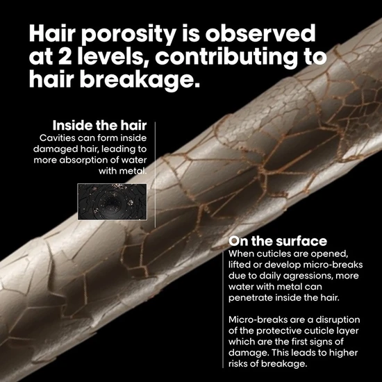 L'Oréal Professionnel Metal Detox Pre Shampoo Treatment 250ml