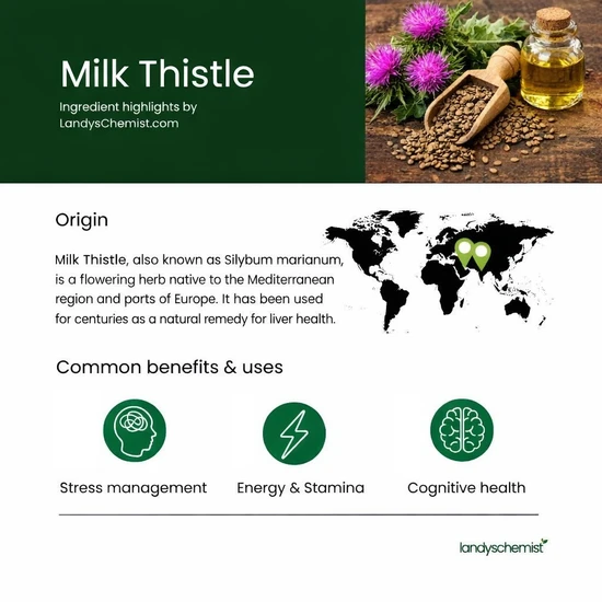 Osavi Milk Thistle Silymarin 100mg Capsules 60 Capsules