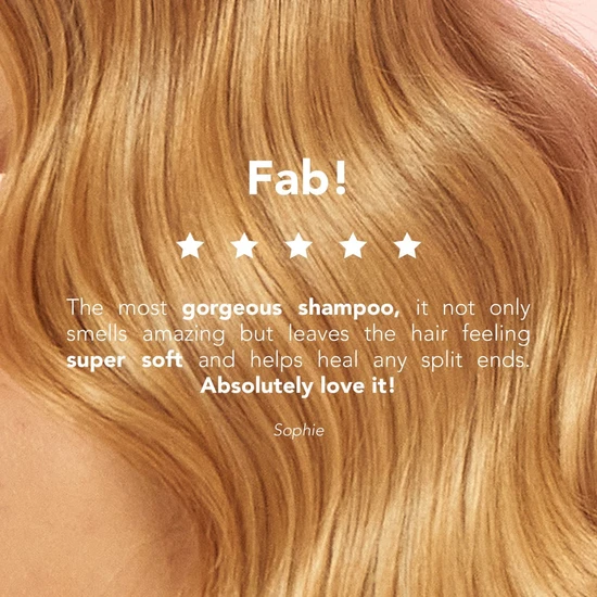 WE ARE PARADOXX Repair Shampoo 250ml