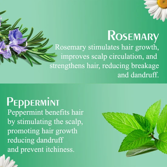 Olive Moisture Professional Rosemary & Mint Nourishing Hair Mask 454ml