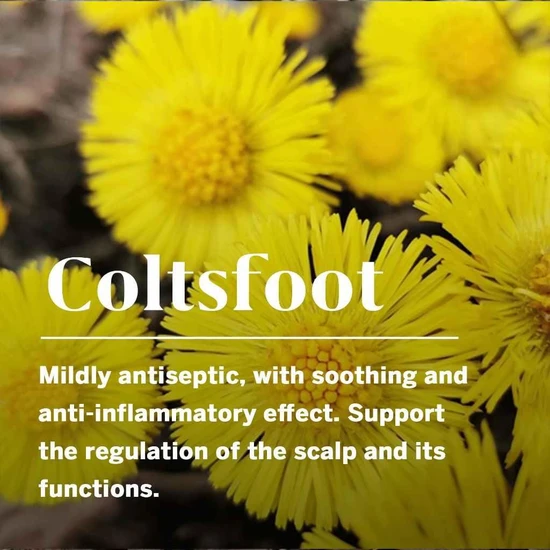 Rausch Coltsfoot Anti-Dandruff Shampoo 200ml