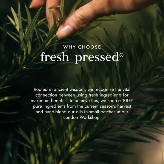 Fushi Root Revival Oil 30ml