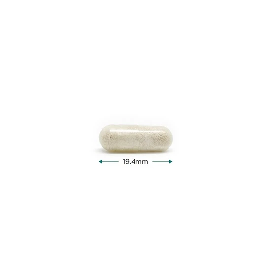 Cytoplan Saccharomyces Boulardii 250mg Capsules 60 Capsules