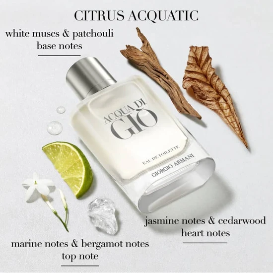 Giorgio Armani Acqua Di Gio Homme Eau De Toilette 100ml