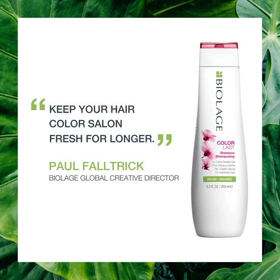 Biolage ColorLast Coloured Hair Shampoo 250ml