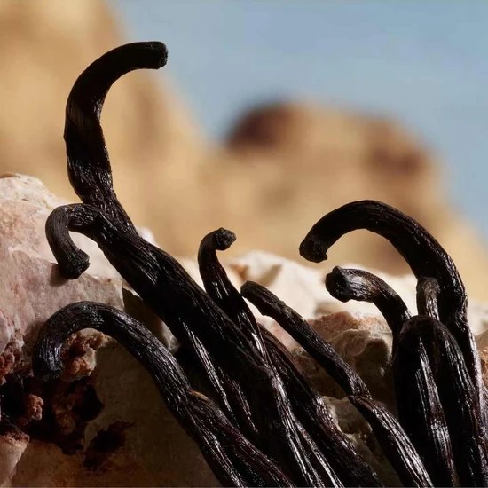 Dolce & Gabbana Q Parfum 50ml