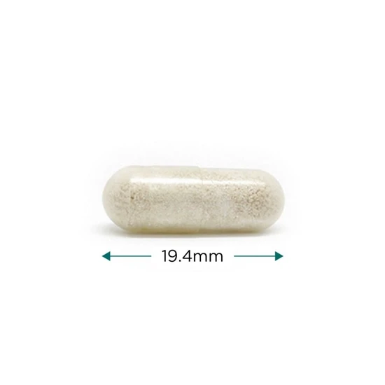 Cytoplan Saccharomyces Boulardii Capsules 120 Capsules