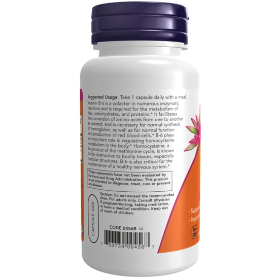 NOW Foods Vitamin B-6 100mg - 100 Capsules