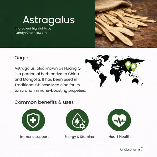 Swanson Astragalus Root 470mg Capsules 100 Capsules