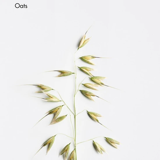 La Biosthetique Calming Lipokerine E Shampoo 250ml