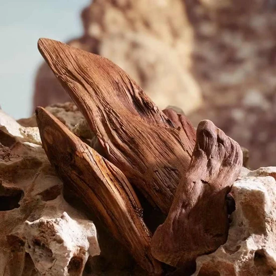 Dolce & Gabbana K Parfum 50ml