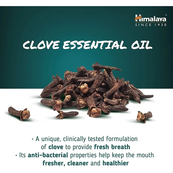 Himalaya Herbals Ayurvedic Dental Cream Clove 100g