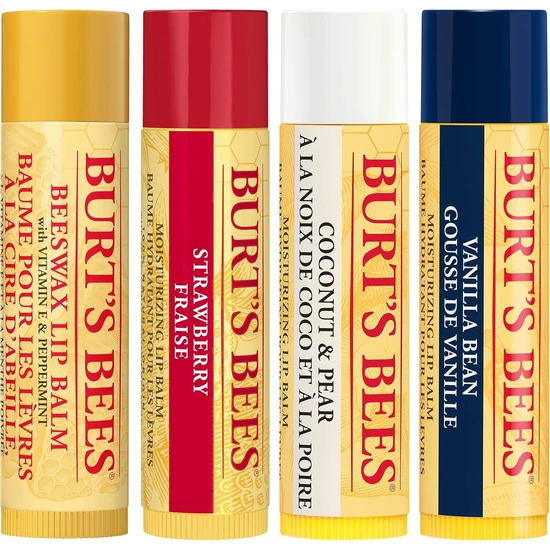 Burt's Bees Bit Of Burts Lip Balm Set 4 x 4.25g