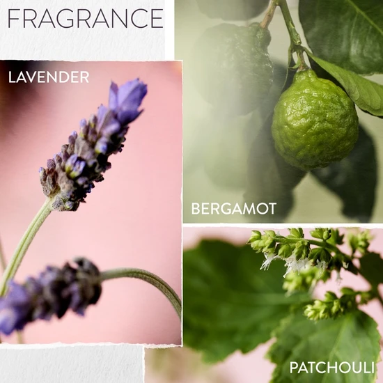 Pureology Hydrate Glow Catcher Hydrating Hair Oil For Dry, Frizzy Hair 50ml