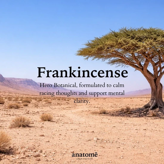 Anatomē Somali Frankincense Sensory Point Essential Oil Blend 30ml