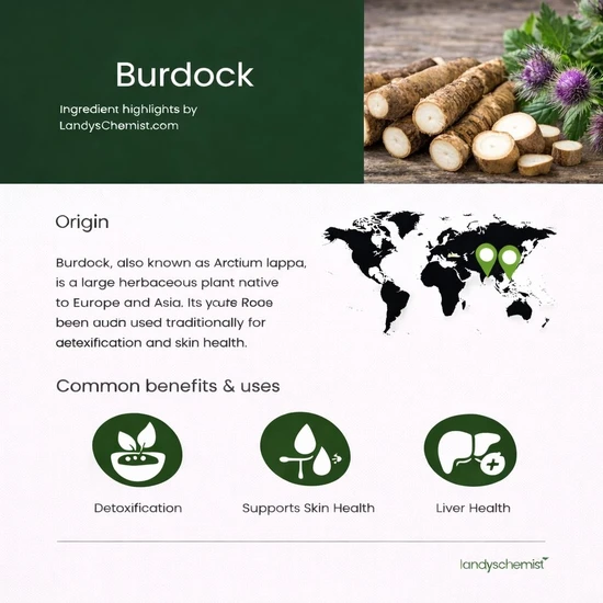 Swanson Full Spectrum Burdock Root Capsules 460mg x 100