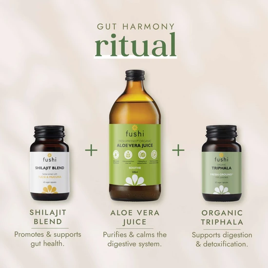 Fushi Natural Energy Supplements Shilajit Blend 60 Capsules