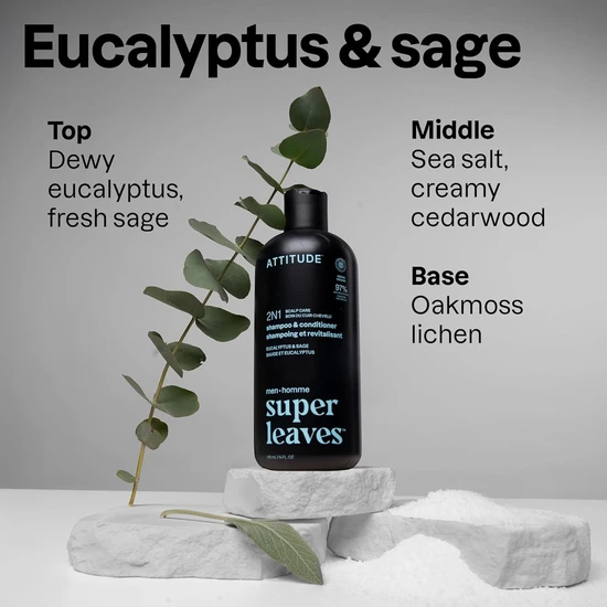 Attitude Super Leaves Men 2-In-1 Shampoo & Conditioner Scalp Care Eucalyptus & Sage 415ml